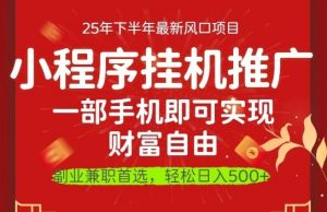 一部手机即可实现财富自由,微信小程序推广最新玩法教学,操作简单容易上手【揭秘】-庄子聊项目