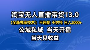 淘宝无人直播13.0,公域私域技术,不封号,不违规 布局下半年旺季赛道,日入2000+-庄子聊项目