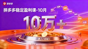 拼多多稳定盈利课-10月,强付费SOP+微付费高投产+活动矩阵,单店月入10万+-庄子聊项目
