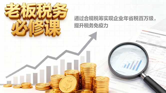 老板税务必修课，通过合规税筹实现企业年省税百万级，提升税务免疫力-庄子聊项目