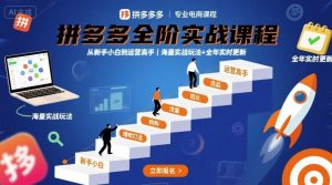 拼多多全阶实战课程，从新手小白到运营高手，海量实战玩法+全年实时更新【2025年10月更新】-庄子聊项目