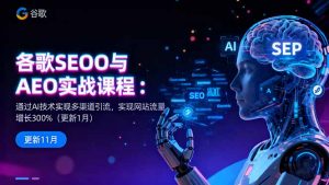 谷歌SEO与AEO实战课程:通过AI技术实现多渠道引流,实现网站流量增长300%-庄子聊项目