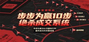 步步为赢10步绝杀成交系统，系统化解决从流量吸引到最终成交的完整链路-庄子聊项目