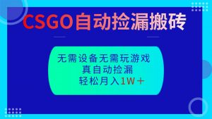 CSGO自动捡漏搬砖，当天操作当天见结果，无需了解游戏，包教包会包落地-庄子聊项目