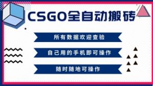 CSGO全自动搬砖，年底钱回家好项目，当天可拿到结果，新手小白轻松月入1W+【揭秘】-庄子聊项目