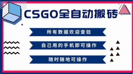CSGO全自动搬砖，年底钱回家好项目，当天可拿到结果，新手小白轻松月入1W+【揭秘】-庄子聊项目