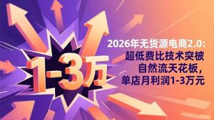 2026年无货源电商2.0：超低费比技术突破自然流天花板，单店月利润1-3万元-庄子聊项目