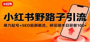 小红书野路子引流，暴力起号+SEO霸屏截流，移花接木日获客100+-庄子聊项目