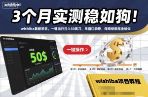 3个月实测稳如狗！wishlba最新项目，一键运行日入50美刀，单窗口躺挣，保姆级教程全给你【揭秘】-庄子聊项目
