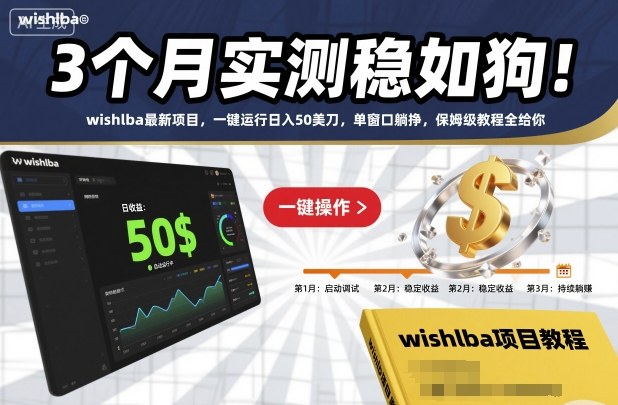 3个月实测稳如狗！wishlba最新项目，一键运行日入50美刀，单窗口躺挣，保姆级教程全给你【揭秘】-庄子聊项目