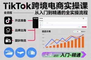 TikTok跨境电商实操课，从入门到精通的全实操流程-庄子聊项目