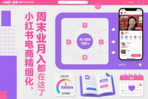 小红书电商精细化运营全流程，周末副业月入1W+，全套方法都在这了-庄子聊项目