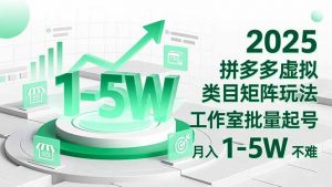 2025 拼多多虚拟类目矩阵玩法，工作室批量起号，月入 1-5W 不难-庄子聊项目