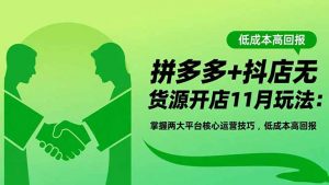 拼多多+抖店无货源开店11月玩法：掌握两大平台核心运营技巧，低成本高回报-庄子聊项目