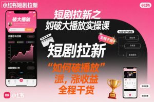 短剧拉新之小红书如何破大播放实操课，如何破播放，涨收益，全程干货-庄子聊项目