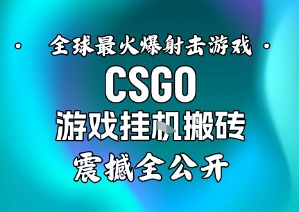 【年底大揭秘】基于全球最火爆的射击CSGO游戏挂G搬砖，日入5张+，震撼公开-庄子聊项目
