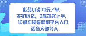 番茄小说10米每单，实拍玩法，0成本好上手，详细实操教程和平台入口适合大部分人-庄子聊项目
