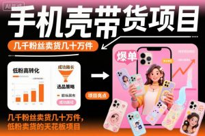 手机壳带货项目，几千粉丝卖货几十万件，短视频低粉卖货的天花板项目-庄子聊项目