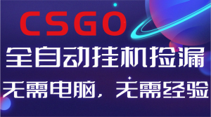 【副业好项目】全球火爆游戏CSGO自动捡漏，新手小白日入500+-庄子聊项目