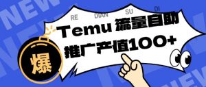 专注于Temu商家提供精准曝光浏览量，助力店铺排名提升和转化，单机日收入80-130【揭秘】-庄子聊项目