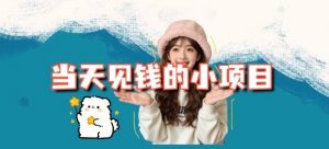 当天能收益的3个小项目拆解_包括平台+操作流程-庄子聊项目