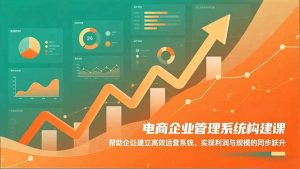 电商企业管理系统构建课：帮助企业建立高效运营系统，实现利润与规模的同步跃升-庄子聊项目
