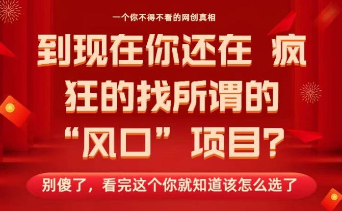 马上26年了，你还在找所谓的风口项目？别傻了，看完这个你全都懂了！【揭秘】-庄子聊项目
