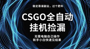 【稳定副业】全球最热门游戏CSGO全自动捡漏，最新玩法，新手小白日入5张+【揭秘】-庄子聊项目