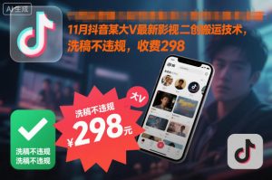 11月抖音某大V最新影视二创搬运技术，洗稿不违规，收费298-庄子聊项目