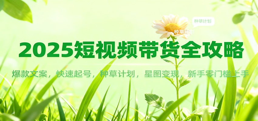 2025短视频带货全攻略：爆款文案，快速起号，种草计划，星图变现，新手零门槛上手-庄子聊项目
