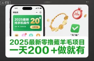 2025最新零撸薅羊毛项目，纯手机操作，20秒一单，无任何门槛，一天200+做就有【揭秘】-庄子聊项目