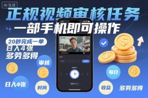 正规视频审核任务，一部手机即可操作，20秒完成一单，日入4张，多劳多得【揭秘】-庄子聊项目