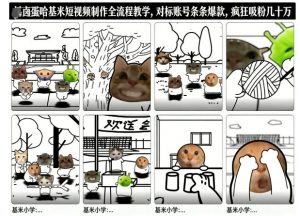 卤蛋哈基米短视频制作全流程教学，条条爆款，疯狂吸粉几十万-庄子聊项目