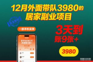 12月外面带队3980的居家副业项目，一部手机实测3天到账9张+，首发教程【揭秘】-庄子聊项目