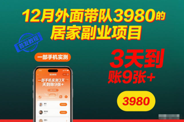 12月外面带队3980的居家副业项目，一部手机实测3天到账9张+，首发教程【揭秘】-庄子聊项目
