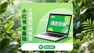 小红书零基础+高阶训练营：安全养号、爆款拆解、长效运营，实现稳定涨粉与变现-庄子聊项目