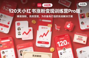 120天小红书涨粉变现训练营Pro版，精准涨粉，高效变现，为你量身打造的实战解决方案-庄子聊项目