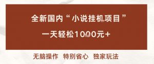 全新国内小说挂G项目，多窗口无脑跑，一天轻松1k+，特别省心【揭秘】-庄子聊项目