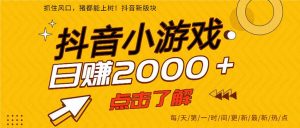 2025年爆火的抖音小游戏项目，一部手机日入2000+-庄子聊项目