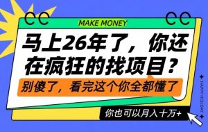 26年了，不要再疯狂的找项目了，看完这个你也可以月入十个W【揭秘】-庄子聊项目
