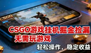 CSGO游戏挂G掘金捡漏，不需要玩游戏，操作简单，收益稳定【揭秘】-庄子聊项目