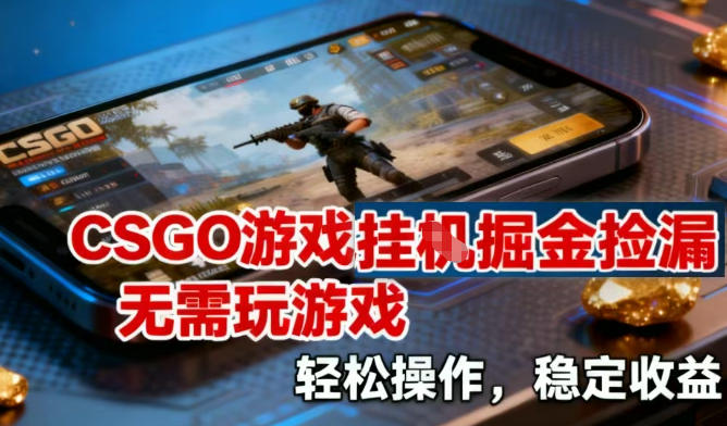 CSGO游戏挂G掘金捡漏，不需要玩游戏，操作简单，收益稳定【揭秘】-庄子聊项目