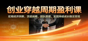 创业穿越周期盈利课:宏观经济洞察、顶层战略、团队搭建,实现持续成长稳定变现-庄子聊项目