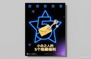 付费文章：小众之人的5个隐藏福利-庄子聊项目