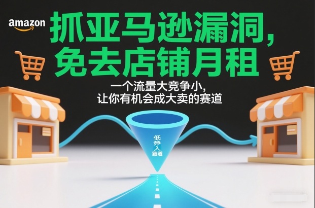 抓亚马逊漏洞，免去店铺月租，一个流量大竞争小，让你有机会成大卖的赛道-庄子聊项目