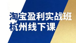 淘宝盈利实战班杭州线下课12月26-28日(音频+字幕)，帮你掌握SOP流程+12门核心技术-庄子聊项目