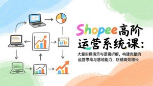 Shopee高阶运营系统课：大量实操演示与逻辑拆解，构建完整的运营思维与落地能力，店铺高效增长-庄子聊项目