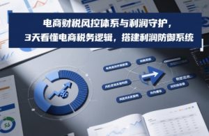 电商财税风控体系与利润守护,3天看懂电商税务逻辑,搭建利润防御系统-庄子聊项目