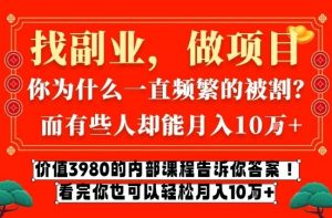 价值3980的网创内部课程,告诉你互联网创业月入10个W的秘密【揭秘】-庄子聊项目