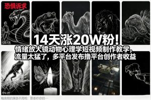 14天涨20W粉！情绪放大镜动物心理学短视频制作教学，流量太猛了，多平台发布撸平台创作者收益-庄子聊项目